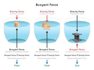 Buoyant Force Infographic diagram examples of cork wood iron showing gravity force downward depends on object weight against buoyant force upward water displacement physics science education vector