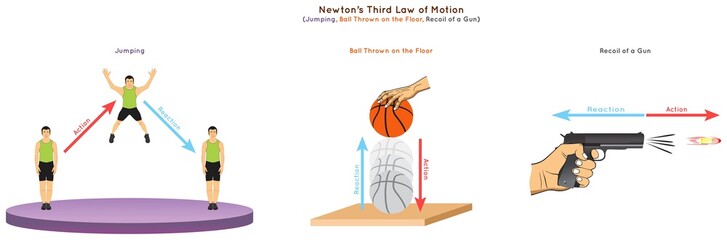Newton Third Law of Motion Infographic Diagram showing action reaction force direction example jumping ball thrown on the floor recoil of a gun for physics science education poster vector