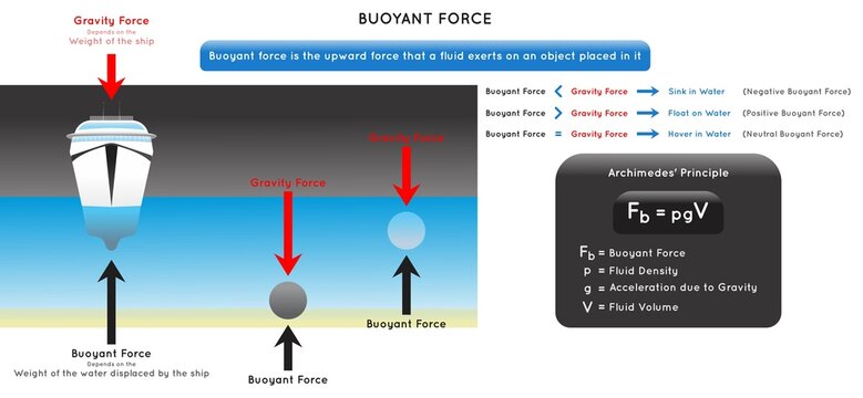 Buoyant Force Infographic Diagram showing how ship float on water while iron mass sink and another object hover and relation with gravity force depending on weight for physics science education vector