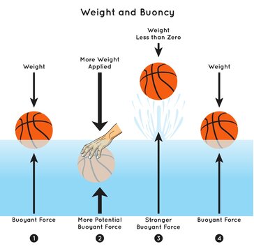 Weight and Buoyancy Infographic Diagram experiment of ball on water surface applying pressure by hand pushing it underwater buoyant force pumping ball upwards physics science education vector