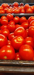 Tomatoes in a box in the store
