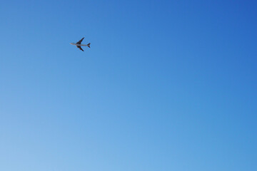 The big four-engine transport airplane is flying far away. Clear blue sky. International air freight. Background or wallpaper