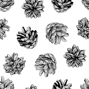 Black an white seamless natural pattern background design with pine cones illustration