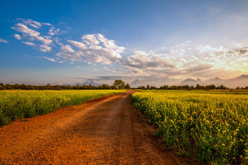 Obraz premium The path through their fields. Cloudy mountains and footpath road in the background 