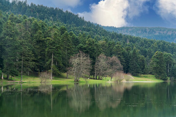 Obraz premium Bolu Golcuk Tabiat Parki. Bolu National Park. Landmarks or touristic places of Turkey. Travel to Turkey. Forest and lake landscape background.