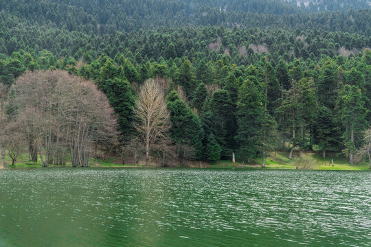 Bolu Golcuk Tabiat Parki. Bolu National Park. Landmarks or touristic places of Turkey. Travel to Turkey. Forest and lake landscape background.