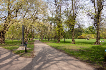 walking in the park