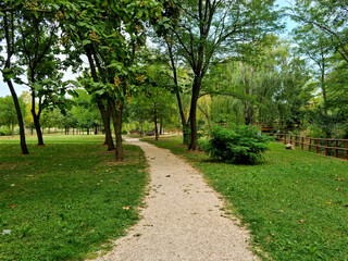 Fototapeta na wymiar sentiero e alberi nel parco