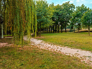 sentiero e alberi nel parco