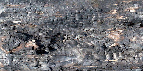 Burnt wooden Board texture. Burned scratched hardwood surface. Smoking wood halloween banner background.