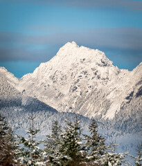 sunlit freshly snow covered mountain