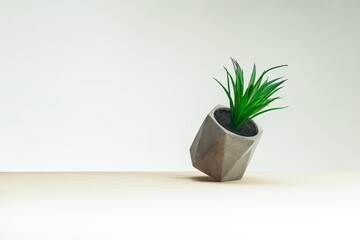 Small houseplant in a concrete pot stands on a yellow table against a blue background. The concept of minimalism. Place for text
