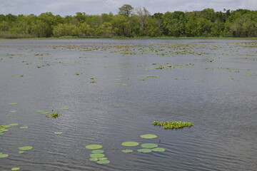 White Lake, Cullinan Park, Sugar Land, Texas