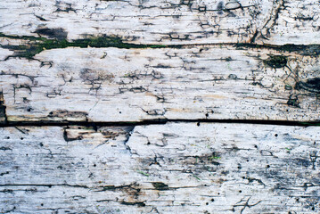 Old wooden vintage grunge background with cracks