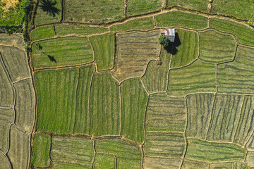 Aerial view of Mae La Noi rice terraces in Mae Hong Son, Thailand