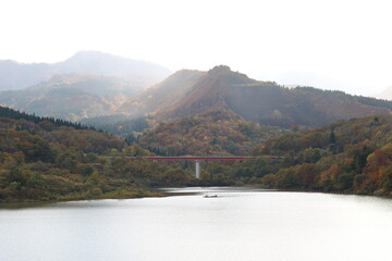 紅葉、朝焼け、草、木、花