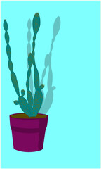 Pot with a cactus and copyspace