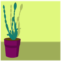 Slim cactus on a striking background