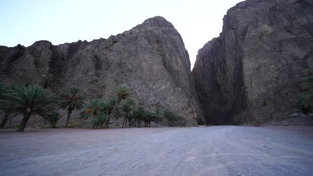 Cinematic Wide View of Wadi Tayyib Al Ism Canyon Entrance and Date Palm Grove in Leyja NEOM Saudi Arabia