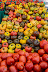 ripe tomatoes in many colors
