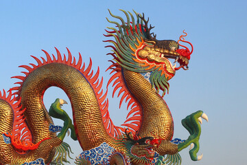 Obraz premium Chinese golden dragon