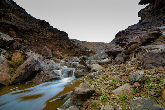 Rain On The Sarawat Mountains In The Arabian Peninsula
