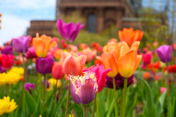 Philadelphia, Logan Square