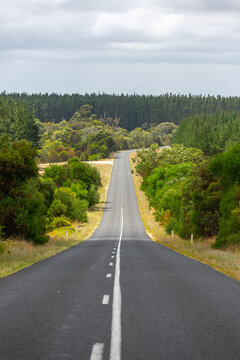 A winding road with surrounding pine tree forests taken in South Australia on February 20th 2022