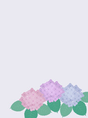 Obraz premium 紫陽花のイラストの背景素材 梅雨 縦長