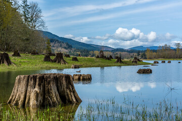 Obraz premium lake in the mountains