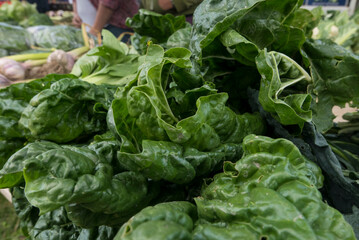 Silverbeet at a farmers market
