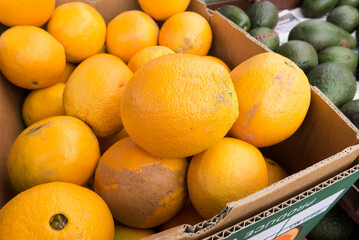 Oranges at a farmers market