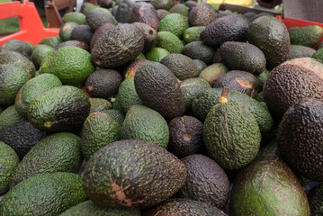 Avocados at a farmers market