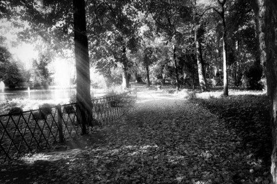 Camino oto&ntilde;al en blanco y negro