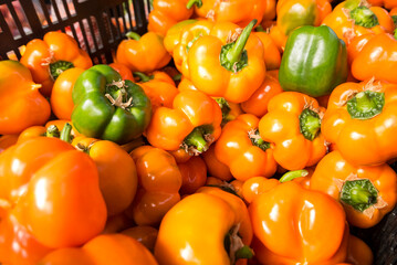 orange and green capsicum at a farmers market
