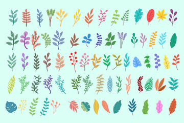 Set Mega Collection Bundle of Pack of Flat Leaf Leaves element Plant Tropical Botanical Doodle Clipart illustration