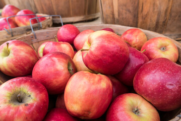 Fototapeta na wymiar red apples at a farmers market
