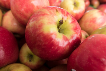 Fototapeta na wymiar red apple at a farmers market