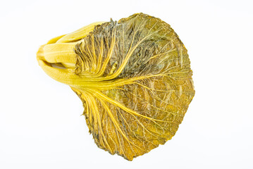 A golden sauerkraut on a white background
