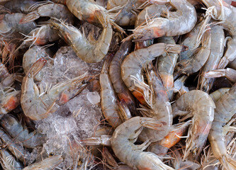 Fresh white shrimp in ice placed for sale in seafood market, Background top view fresh Sea Food, fish pattern