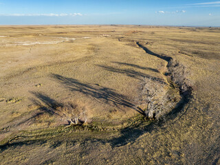 Fototapeta na wymiar trees along a stream in Colorado prairie - early spring aerial view