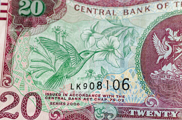 Copper-rumped hummingbird on Trinidad and Tobago banknote