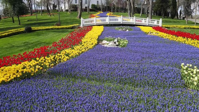 Tulip Season in the Emirgan National Park Drone Video, Sariyer Istanbul Turkey