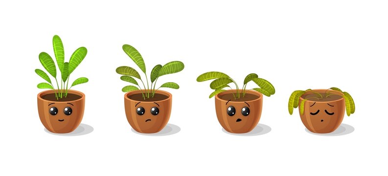 Cartoon flower, wither plant in pot, green leaf wilting and faded, vector sick dry sad sprout. Funny flower plant in flowerpot happy growing and withered or wilted, sad emoji emoticon with smile