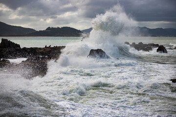 waves crashing on rocks
