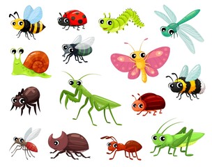 Cartoon insects, funny kid characters, vector cute butterfly, ant and fly, vector bugs. Cartoon bee with dragonfly and spider, ladybug and grasshopper with caterpillar worm and beetle