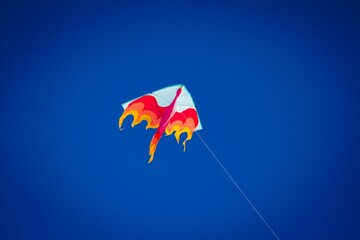 kite flying in the blue sky
