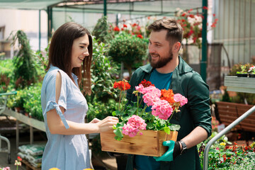 Worker helping female customer with plant in garden center