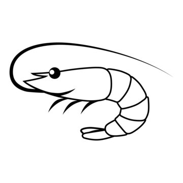 recommend clip art: Shrimp Icon Vector Sign And Symbols.