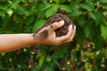 fertile soil in the hands of farmers for planting